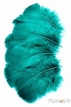 Tacchina - 6-8 cm - giada